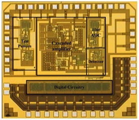 microphotograph