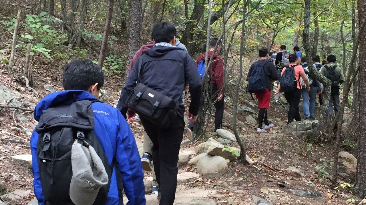 Hiking